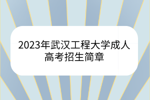 2023年武汉工程大学成人高考招生简章