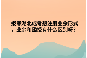 报考湖北成考想注册业余形式，业余和函授有什么区别呀？