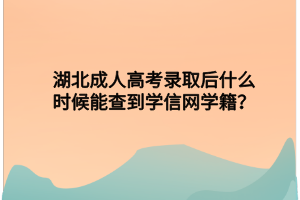 湖北成人高考录取后什么时候能查到学信网学籍？