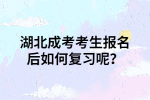 湖北成考考生报名后如何复习呢？