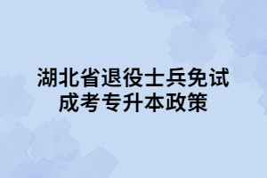 湖北省退役士兵免试成考专升本政策