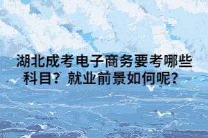 湖北成考电子商务要考哪些科目？就业前景如何呢？