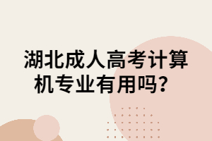 湖北成人高考计算机专业有用吗？