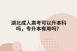 湖北成人高考可以升本科吗，专升本有用吗？