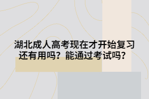 湖北成人高考现在才开始复习还有用吗？能通过考试吗？