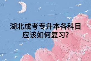 湖北成考专升本各科目应该如何复习?