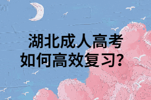 湖北成人高考如何高效复习？