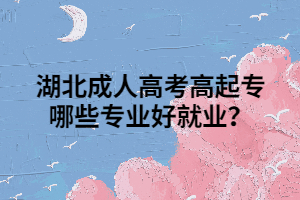 湖北成人高考高起专哪些专业好就业？