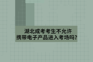 湖北成考考生不允许携带电子产品进入考场吗？