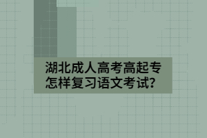 湖北成人高考高起专怎样复习语文考试？