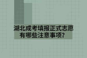 湖北成考填报正式志愿有哪些注意事项？