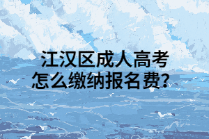 江汉区成人高考怎么缴纳报名费？