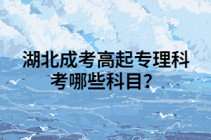 湖北成考高起专理科考哪些科目？