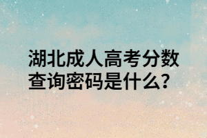 湖北成人高考分数查询密码是什么？