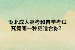 湖北成人高考和自学考试究竟哪一种更适合你？