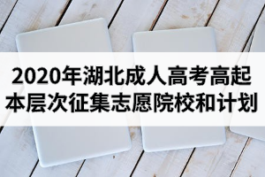 2020年湖北省成人高考高起本层次征集志愿院校和计划