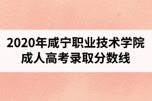 2020年咸宁职业技术学院成人高考录取分数线