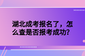 湖北成考报名了，怎么查是否报考成功？