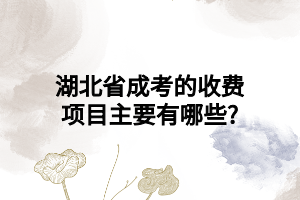 湖北省成考的收费项目主要有哪些?