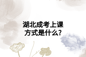 湖北成考上课方式是什么?