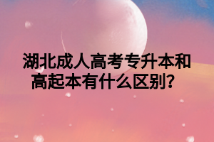 湖北成人高考专升本和高起本有什么区别？