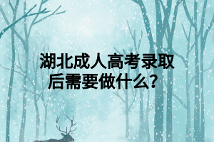 湖北成人高考录取后需要做什么？