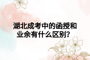 湖北成考中的函授和业余有什么区别？