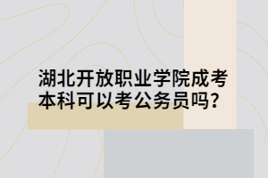 湖北开放职业学院成考本科可以考公务员吗？