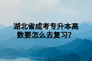 湖北省成考专升本高数要怎么去复习？