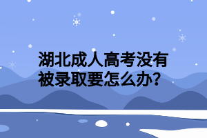 湖北成人高考没有被录取要怎么办？