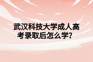 武汉科技大学成人高考录取后怎么学？