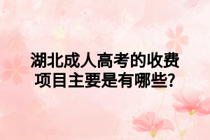 湖北成人高考的收费项目主要是有哪些?