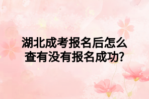 湖北成考报名后怎么查有没有报名成功?