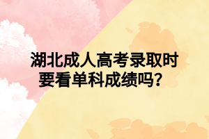 湖北成人高考录取时要看单科成绩吗？