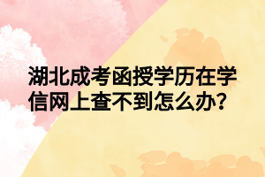 湖北成考函授学历在学信网上查不到怎么办？