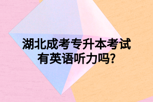 湖北成考专升本考试有英语听力吗?