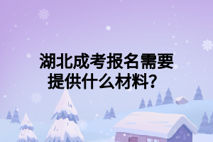 湖北成考报名需要提供什么材料？