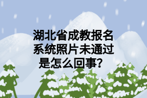 湖北省成教报名系统照片未通过是怎么回事？