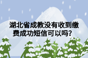 湖北省成教没有收到缴费成功短信可以吗？