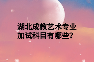 湖北成教艺术专业加试科目有哪些？