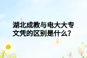 湖北成教与电大大专文凭的区别是什么？