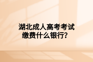 湖北成人高考考试缴费什么银行？