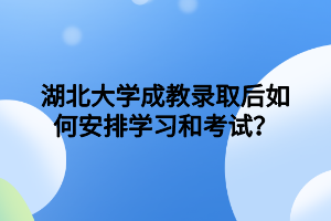 湖北大学成教录取后如何安排学习和考试？