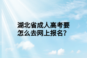 湖北省成人高考要怎么去网上报名？