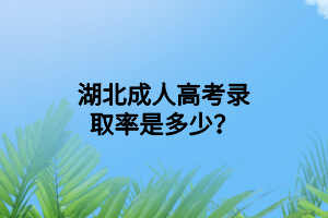 湖北成人高考录取率是多少？