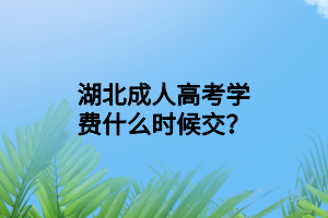 湖北成人高考学费什么时候交？