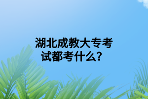 湖北成教大专考试都考什么？