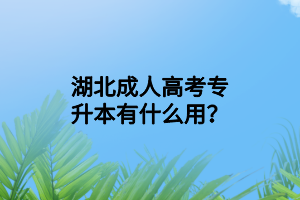 湖北成人高考专升本有什么用？