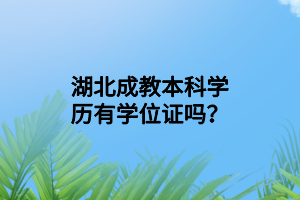 湖北成教本科学历有学位证吗？