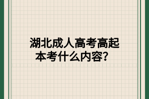 湖北成人高考高起本考什么内容？